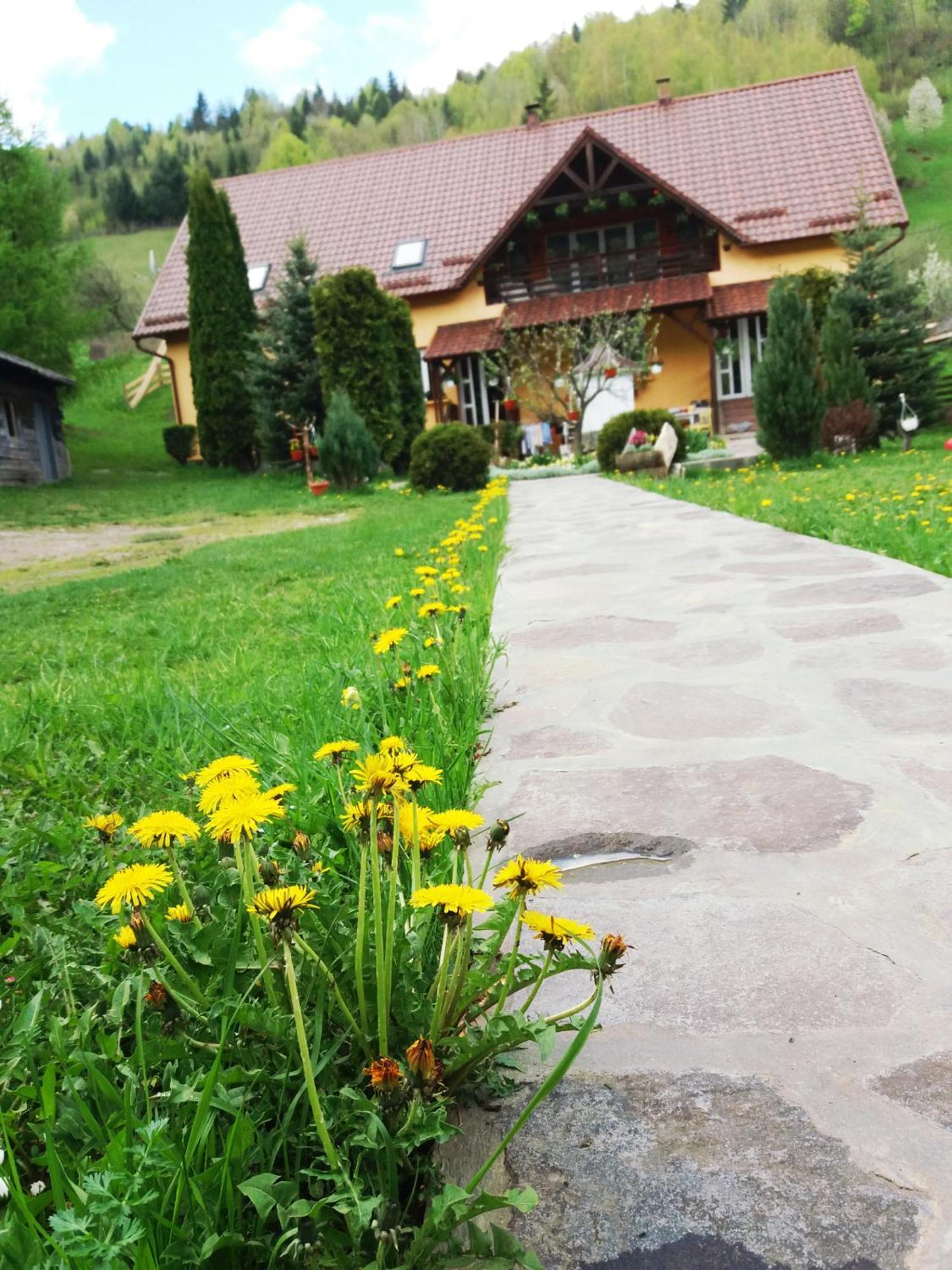 Casa Lucia Hotel Damuc Buitenkant foto